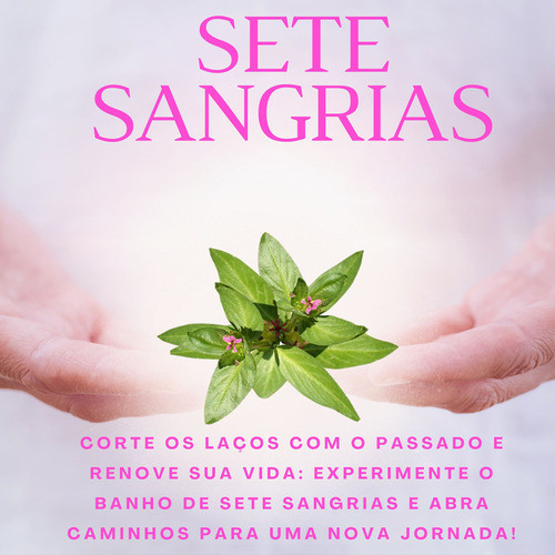 Sete Sangrias Quebra Demanda Erva Mística Banho/defumação 1