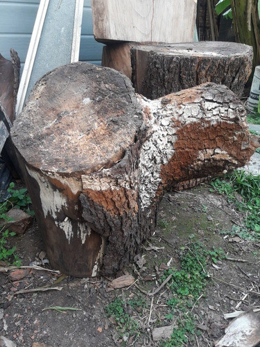 Troncos Cedro Grandes, Irregulares Ver Medidas, En Caballito 0