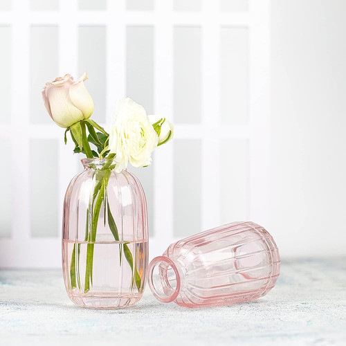 Jarrón Rosa Para Flores Individuales Pequeño Conjunto De Jar 0