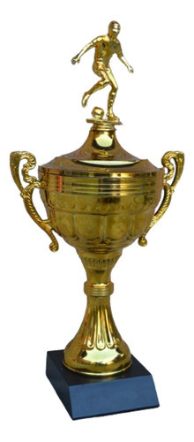 Trofeo, Copa Multidisciplinaria 35cm, Dorada O Plateada 0