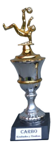 Trofeo, Copa Multidisciplinaria 37cm, Dorada, Plateada O Mix 0 Trofeo, Copa Multidisciplinaria 37cm, Dorada, Plateada O Mix 0