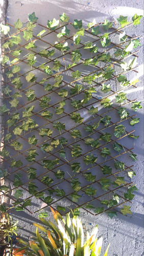 Cerco Enredadera Extensible 1