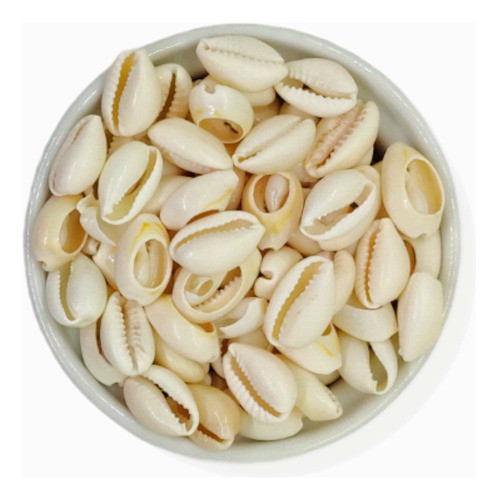 Caracoles Buzio Natural Cortados Partidos 50gr Armar Bijou 0