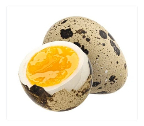 12 Huevos Frescos De Codorniz Para Consumo. Rosario Sta Fe 0
