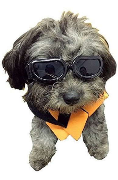 Disfrutar De Las Gafas Para Perros Gafas De Sol Para Perros 0