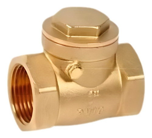 Valvula De Retencion 1 1/4 Genebre Clapeta De Bronce 0