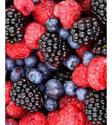 Arándanos Congelados Iqf X 5 Kg- 0