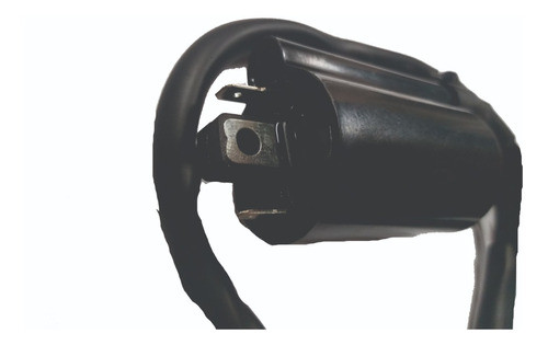 Bobina Gilera Cannibal 300 1