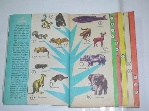 Antiguo Suplemento Anteojito Los Mamiferos Antifaz 1