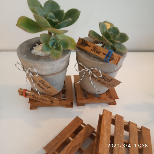 Souvenir Maceta Cemento+ Pallet + Suculenta+ 2 Tablas Madera 1