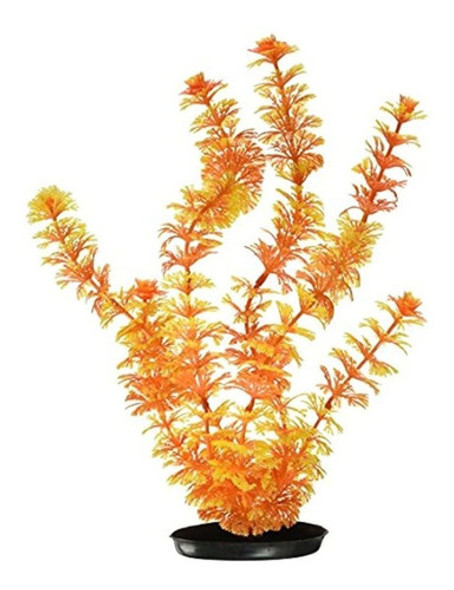 Marina Vibrascaper Ambulia Planta Grande, 12 Pulgadas 0 Marina Vibrascaper Ambulia Planta Grande, 12 Pulgadas 0