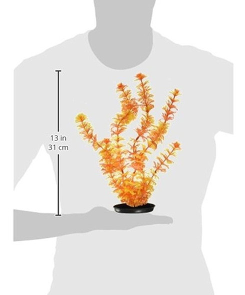 Marina Vibrascaper Ambulia Planta Grande, 12 Pulgadas 1 Marina Vibrascaper Ambulia Planta Grande, 12 Pulgadas 1