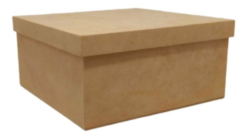 Caja Tipo Zapato 15x20x10 Cm 0