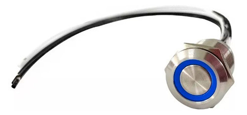 Pulsador Metalico 19mm Azul Sin Retencion Ip68 Sumergible 1