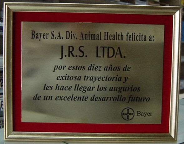 Placas - Grabados Laser En Bronce 0