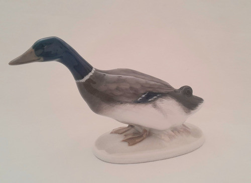 Antigua Figura Ave Porcelana Alemana Rosenthal 1