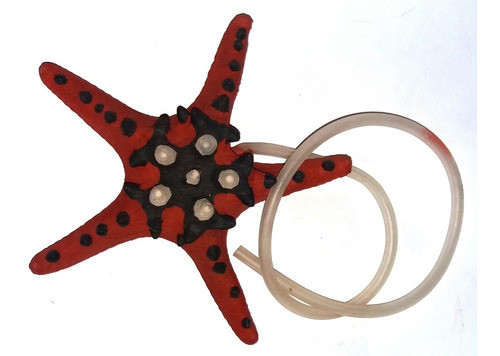 Adorno Estrella De Mar Con Salida De Burbujas .el Delfin 0