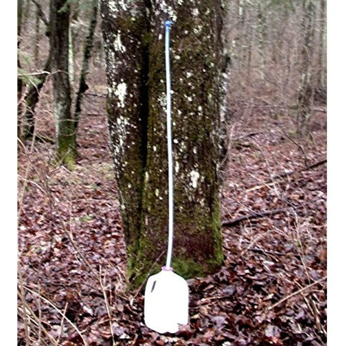 Kit De Golpeteo De Savia De Jarabe De Arce 10 Pack 516 Broca 1