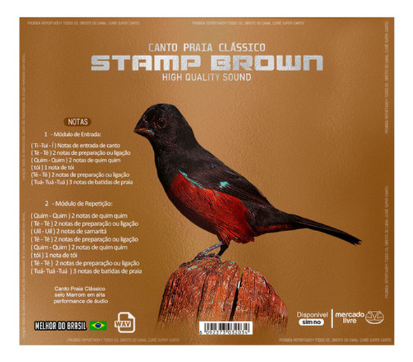 Canto Praia Clássico Stamp Brown 0