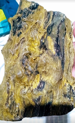 Madera Petrificada 0