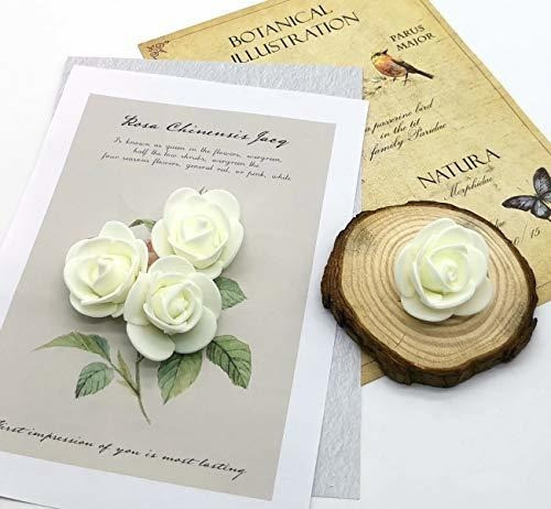 Mini Rosas Falsas Para Bricolaje 100 Pc.s De 3cm. Marfil 1