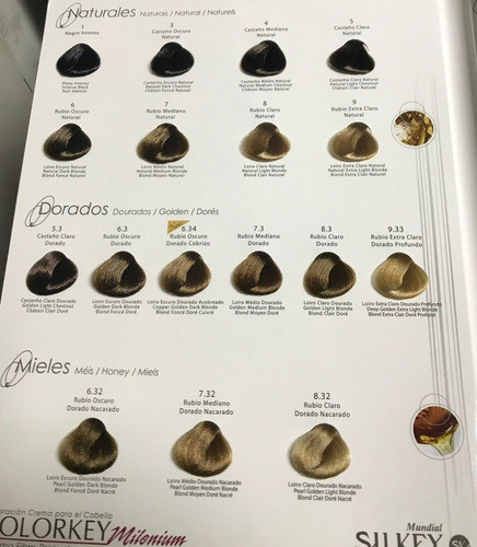 24 Tinturas Silkey Milenium Colorkey X 120 Gr 1