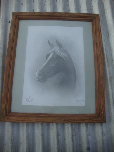 Cuadro Lapiz Negro Caballo Enmarcado 62 X 52 X 2,1 Prof. 0