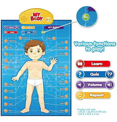 Best Learning I-poster My Body - Póster Educativo 1