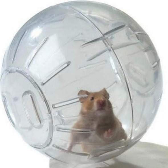 Globo Hamster Suporte 1