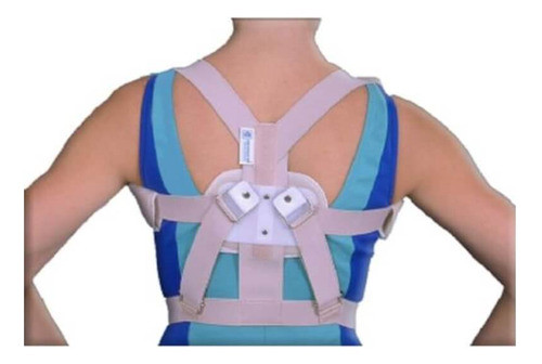 Ortocenter 078 Espaldeira P/ Postura P 0