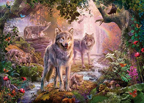 Serie De Rompecabezas Ravensburger 82112 Great Outdoors: Sum 0