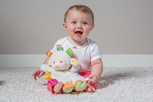 Taggies Sherbet Lamb Lovey Toy 1