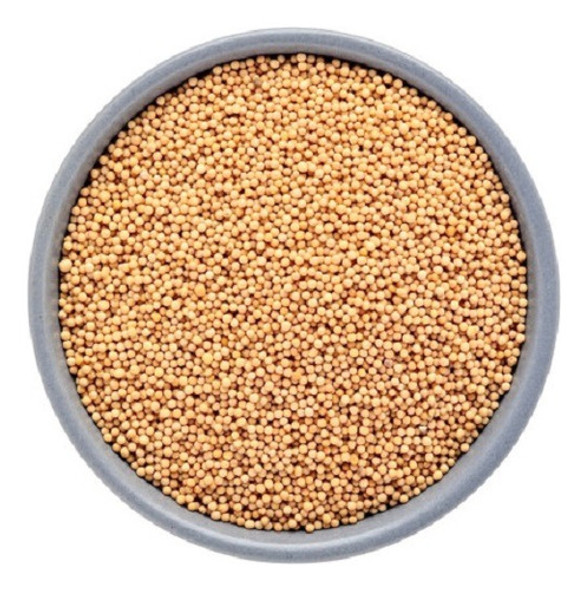 Mostarda Em Grãos Importado 2 Kg Promoção + Envio Imediato 0 Mostarda Em Grãos Importado 2 Kg Promoção + Envio Imediato 0