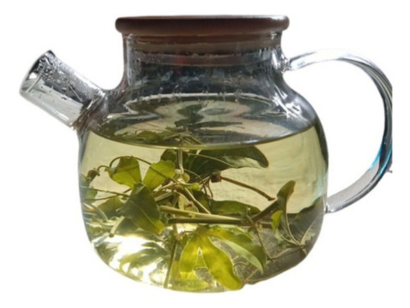 Flor Y Planta De Mburucuyá- Passiflora 0 Flor Y Planta De Mburucuyá- Passiflora 0