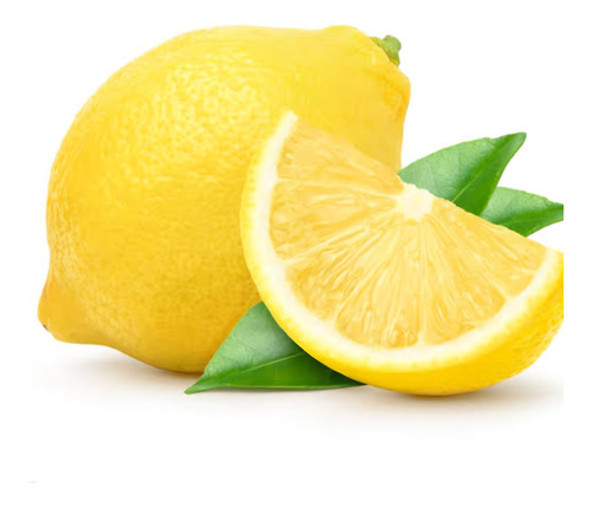 Limoneros De 4 Años Con Frutos Y Azahares 0 Limoneros De 4 Años Con Frutos Y Azahares 0