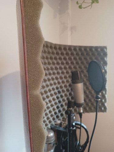 Panel Acústico Para Locutores Y Cantantes 1