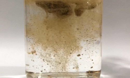 Alimento Para Corales - Marinium Zooplancton 1