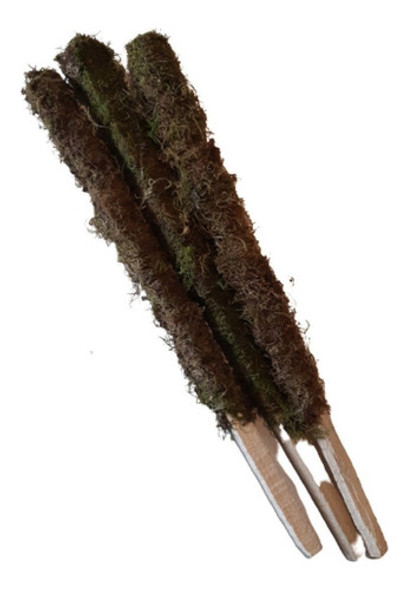 Pack Tutores Con Musgo Para Plantas 80 Cm X 10u 1