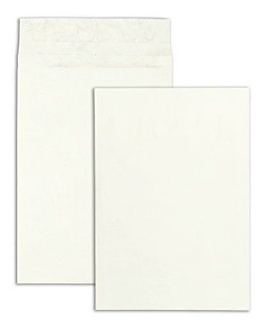 Parque De Calidad R4292 Calidad Tyvek Open End Exp - Sobres 1