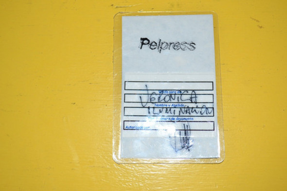 Credencial Alejandro Sanz En Concierto Acceso  A  Ferro `98 1
