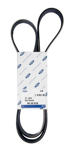 Correa Poli V Ford Focus 2008/2013 Diesel Linx 1.8 Original 0