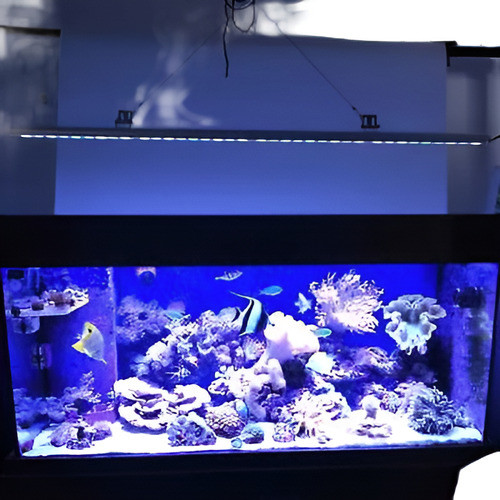 Populargrow 54w Led Acuario Luz Barra Iluminación Azul Y Bla 0