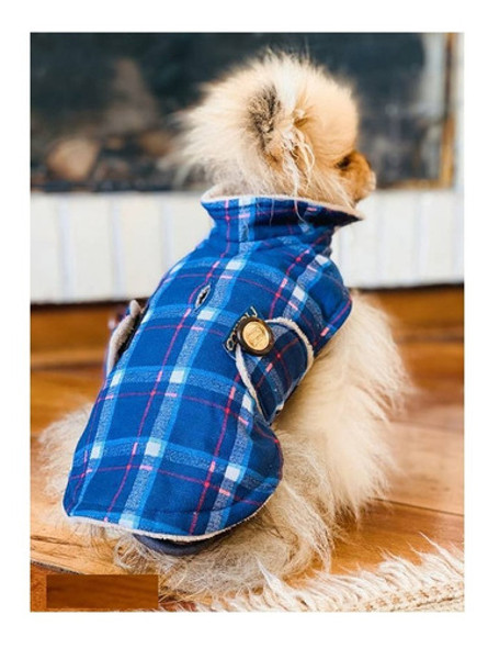 Malloo Roupa Capa Aspen Tamanho M Roupa P/ Cachorro 1 Malloo Roupa Capa Aspen Tamanho M Roupa P/ Cachorro 1