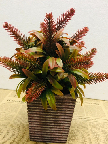 Planta Podocarpo  Artificiales En Maceta 1