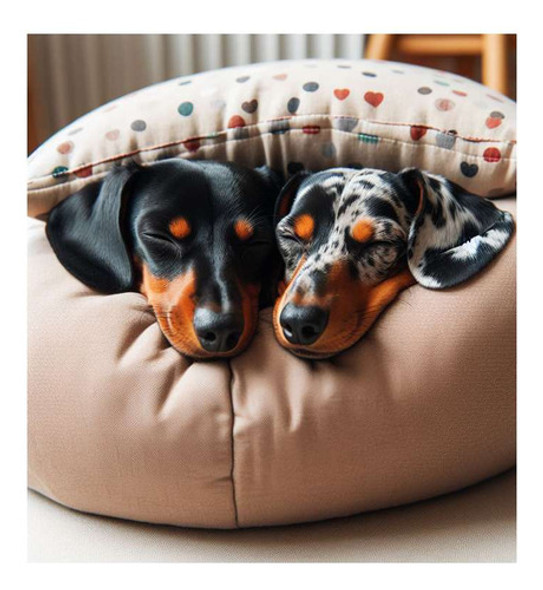 Vinilo 20x20cm Perro Salchicha Siesta Puff Almohadon 0
