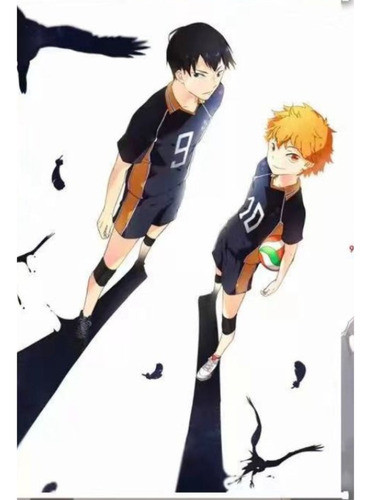 Poster De Tela - Haikyu - Hinata Y Kageyama 60x 90cm 0