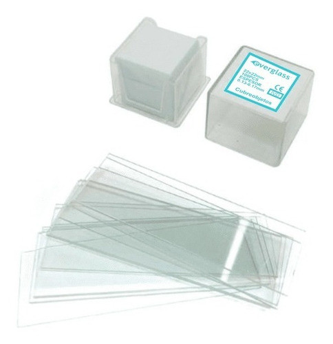 Cubre Objetos De Vidrio 24 X 60 Mm X 100 Unidades Everglass 0