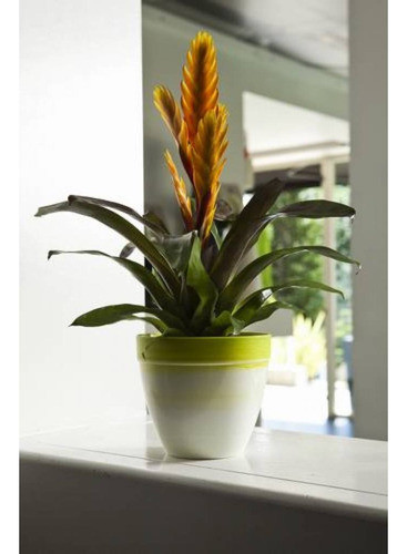 Maceta De Resina Touch Exclusive 20 Cm 1