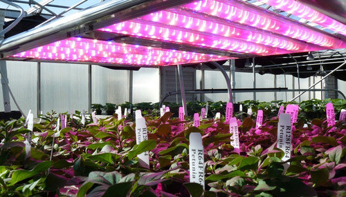Modulo Led Indoor 35w Floracion Deepblue / Hyperred /farred 0