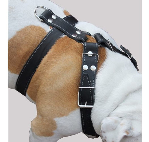 Arnes Para Perros De Cuero Genuino Negro, Grande A Xlarge. 0 Arnes Para Perros De Cuero Genuino Negro, Grande A Xlarge. 0